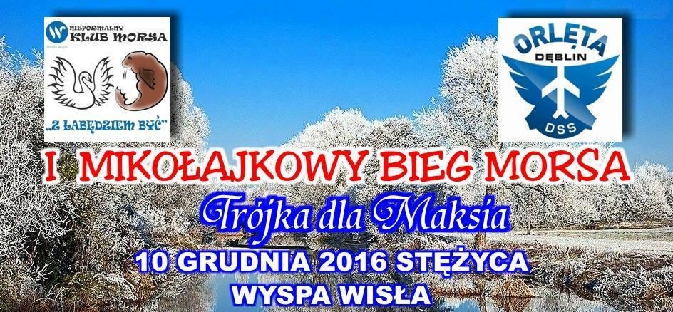 I Mikołajkowy Bieg Morsa Stężyca 2016 - Zdjęcie główne