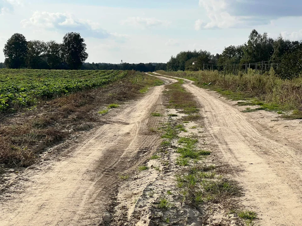 Wąwolnica: "Drogę przez mękę" pokryje asfalt - Zdjęcie główne