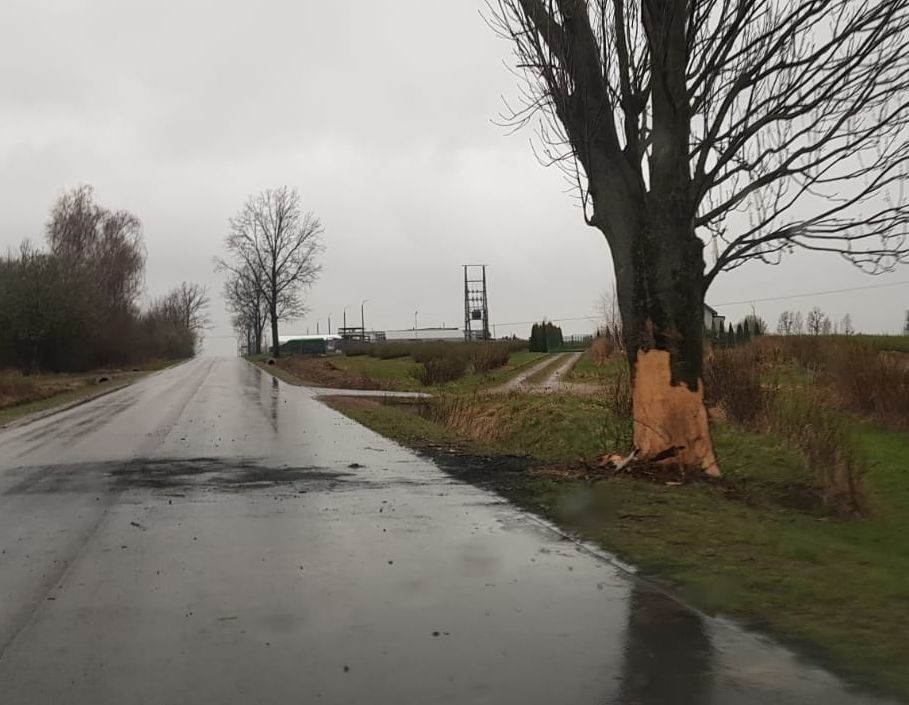 Końskowola: Uderzyła w przydrożne drzewo i spłonęła w samochodzie - Zdjęcie główne