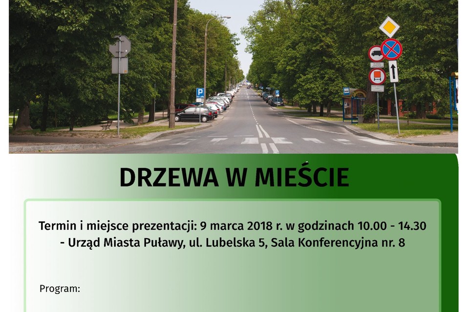 Seminarium "Drzewa w mieście" - Zdjęcie główne