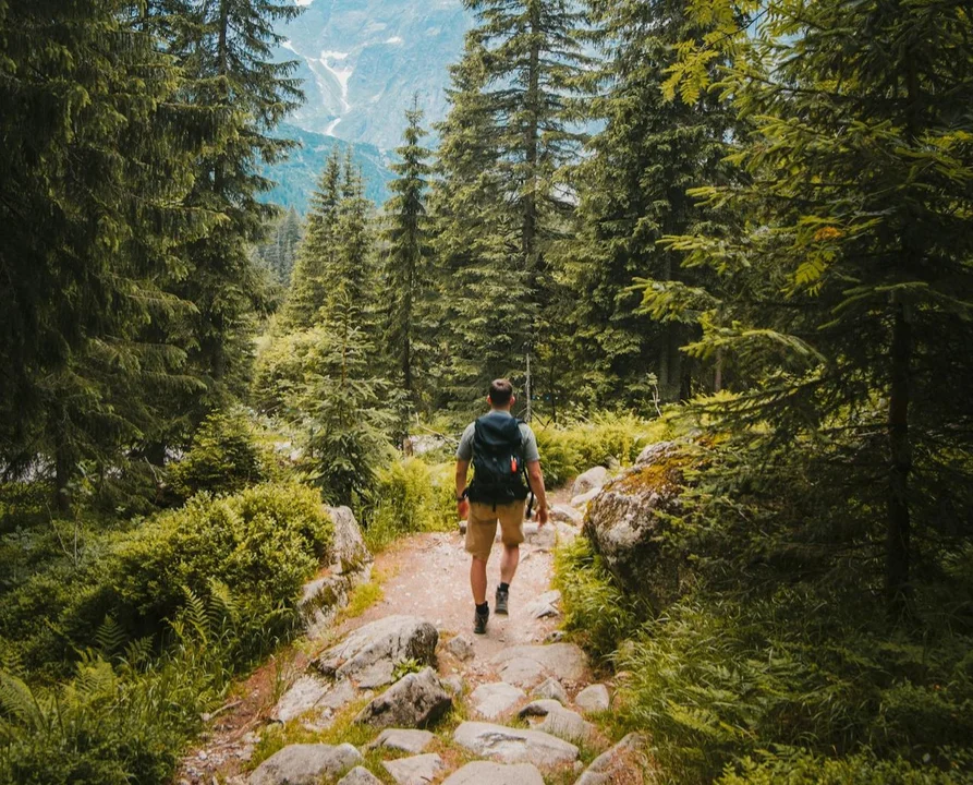 Jaka jest różnica pomiędzy hikingiem a trekkingiem? - Zdjęcie główne