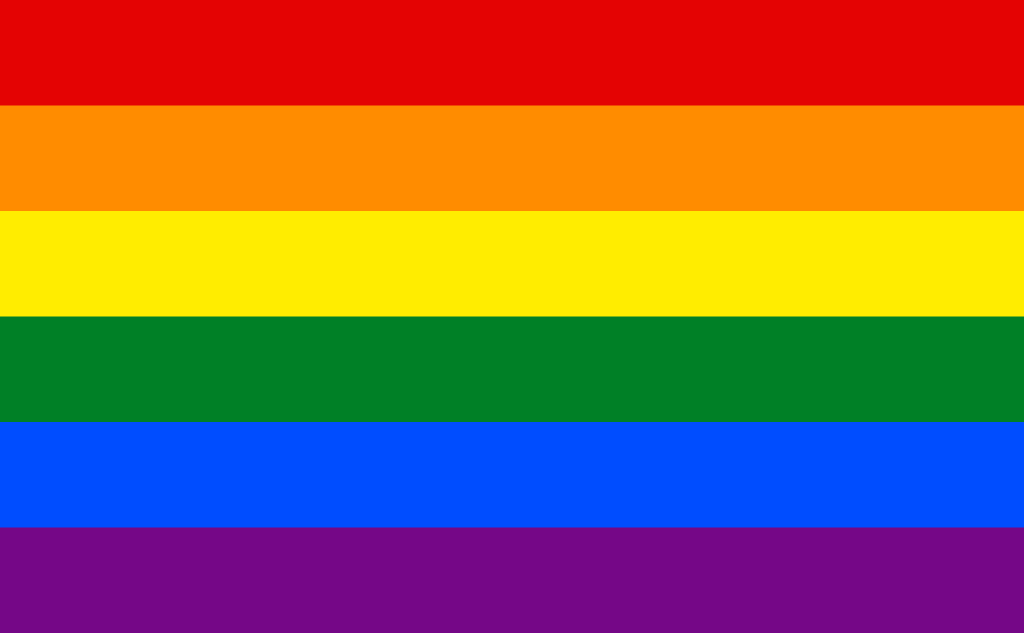 Czy Rada Miasta Puławy podtrzyma stanowisko ws. LGBT? - Zdjęcie główne