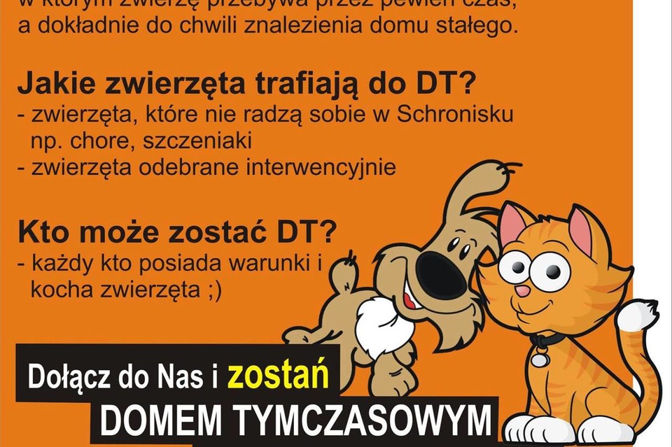 Zostań Domem Tymczasowym dla zwierzaków ze schroniska! - Zdjęcie główne