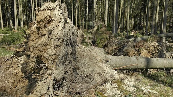 Kolejne załamanie pogody. Tym razem silny wiatr. Prognoza pogody na najbliższe dni - Zdjęcie główne