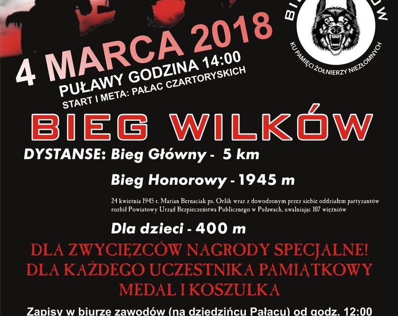 Bieg wilków - Ku Pamięci Żołnierzy Niezłomnych - Zdjęcie główne