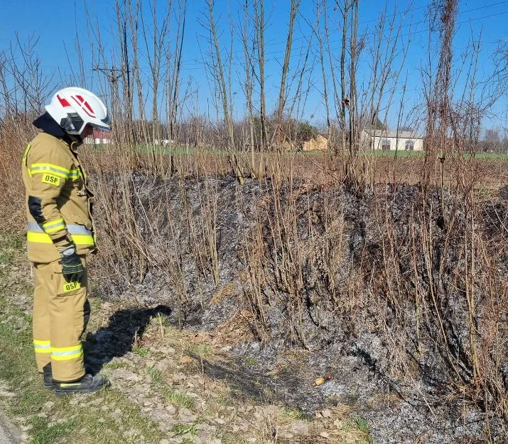 Groźny pożar w powiecie puławskim. Na miejscu OSP Nałęczów - Zdjęcie główne