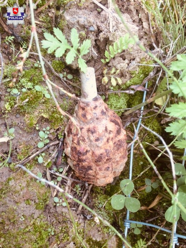 Granat na polu w Pachnowoli - Zdjęcie główne