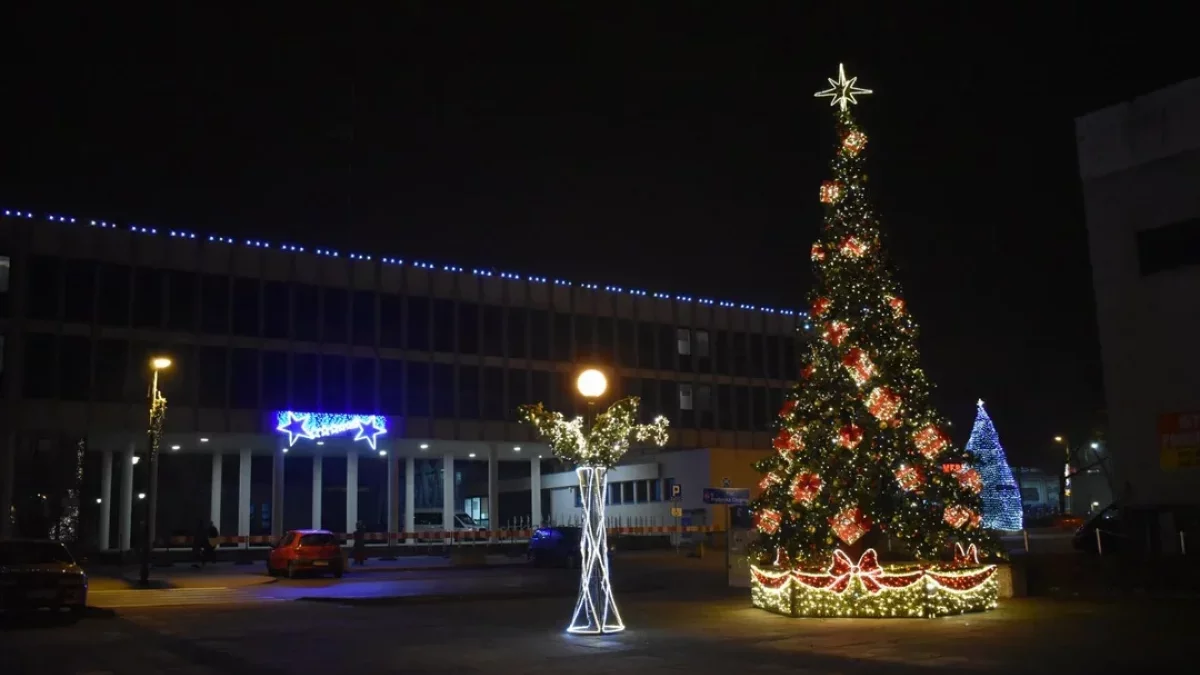 Przedświąteczny jarmark w Puławach - Zdjęcie główne