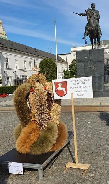 Wieniec z Zagród na podium - Zdjęcie główne