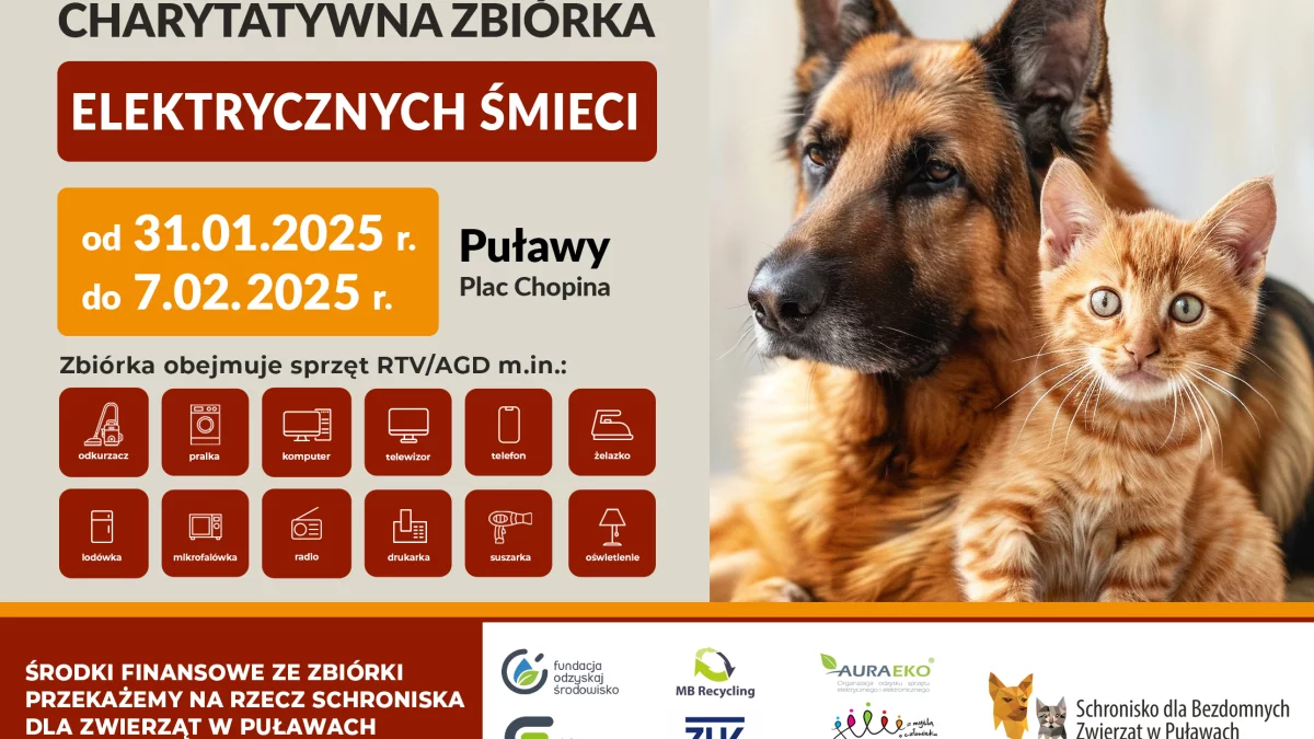 Kasa dla puławskiego schroniska za elektrośmieci. Możesz pomóc nawet Ty! - Zdjęcie główne