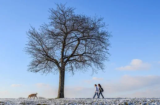 Pogoda w Twojej okolicy. Prognoza na wtorek 7 grudnia. - Zdjęcie główne