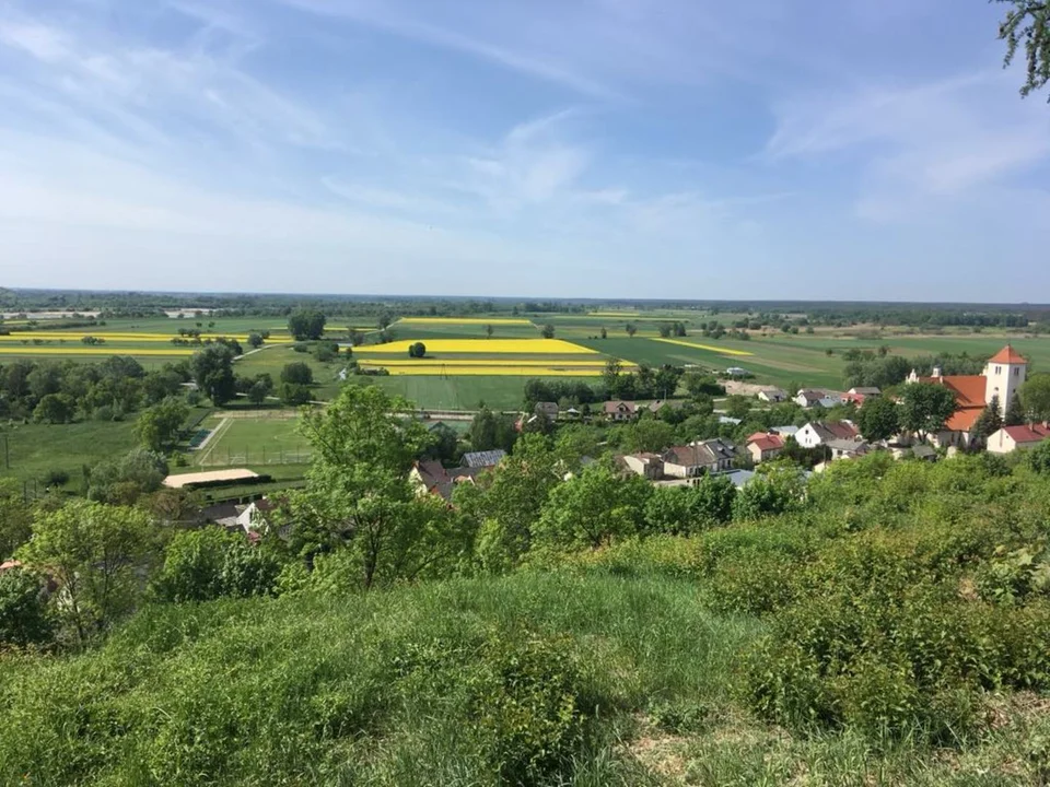 9 kilometrowy marsz po pięknym Janowcu. Ktoś chętny? - Zdjęcie główne