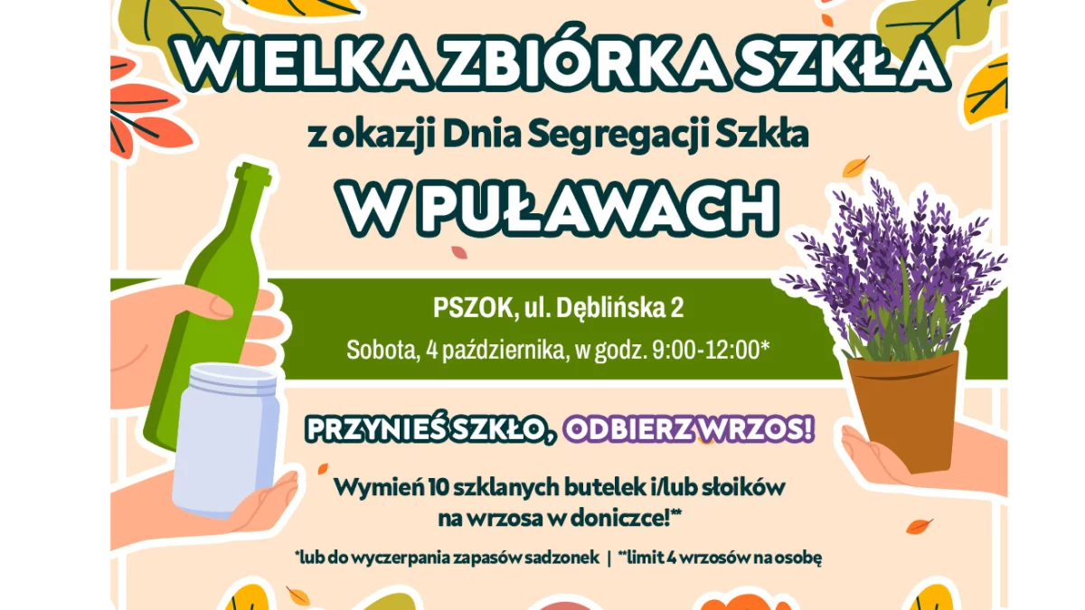 Wielka Zbiórka Szkła w Puławach – przynieś butelki, odbierz wrzos! - Zdjęcie główne