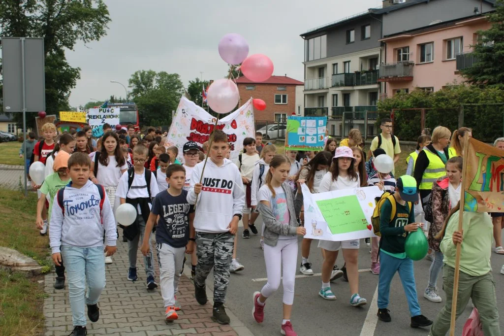 Gm. Żyrzyn: Młodzież edukuje i pokazuje, jak dbać o ziemię - Zdjęcie główne