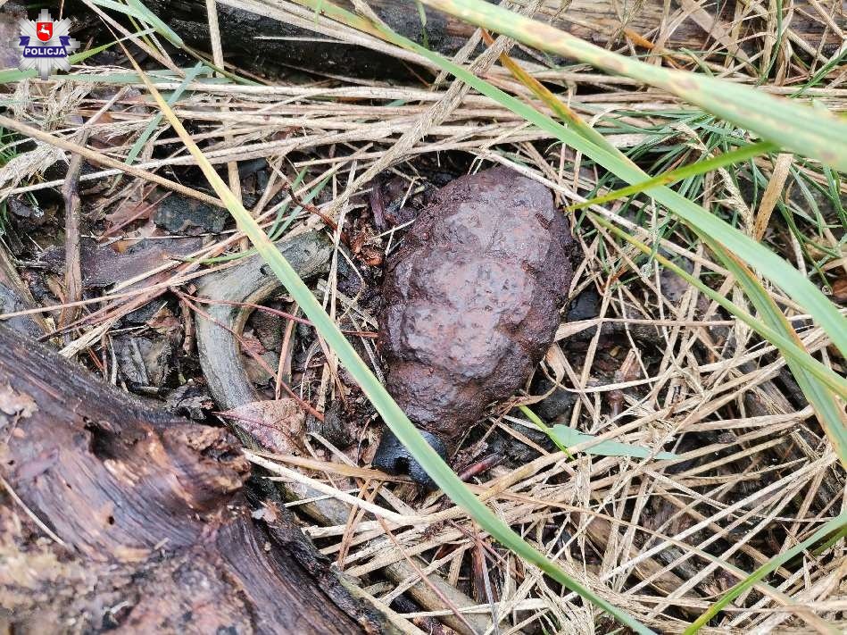 Znalazł granat podczas spaceru po lesie - Zdjęcie główne