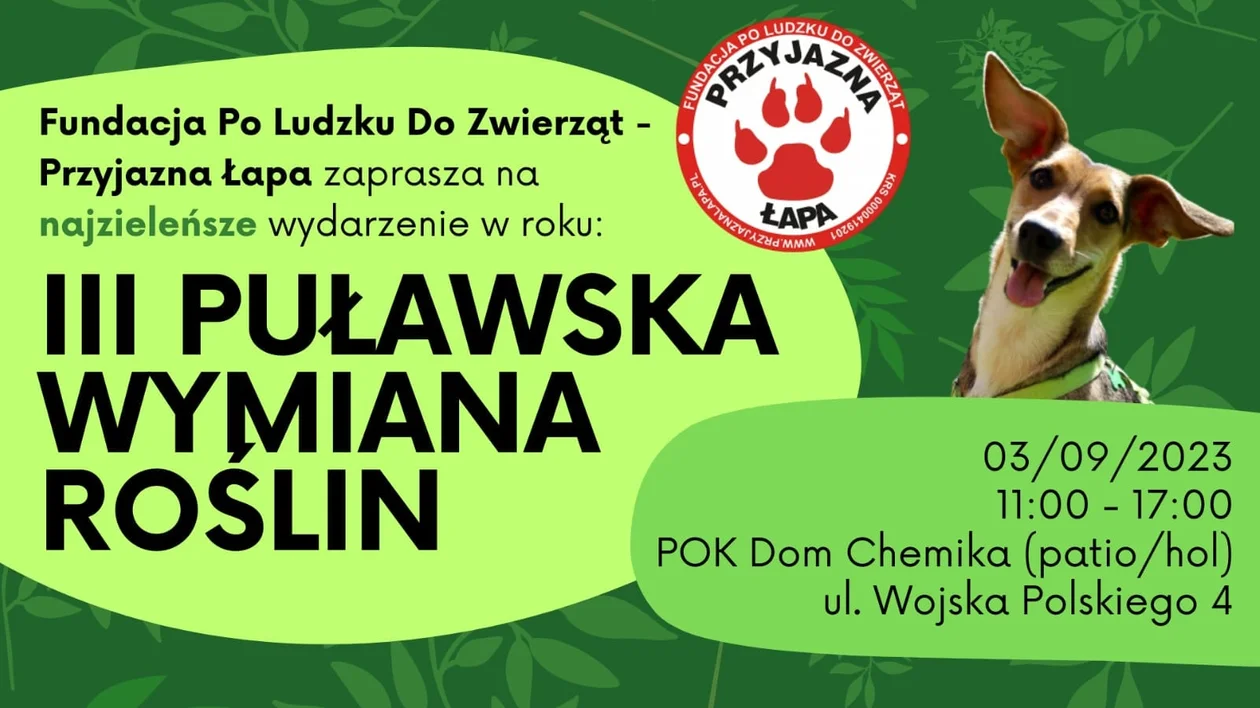 III Puławska Wymiana Roślin - Zdjęcie główne