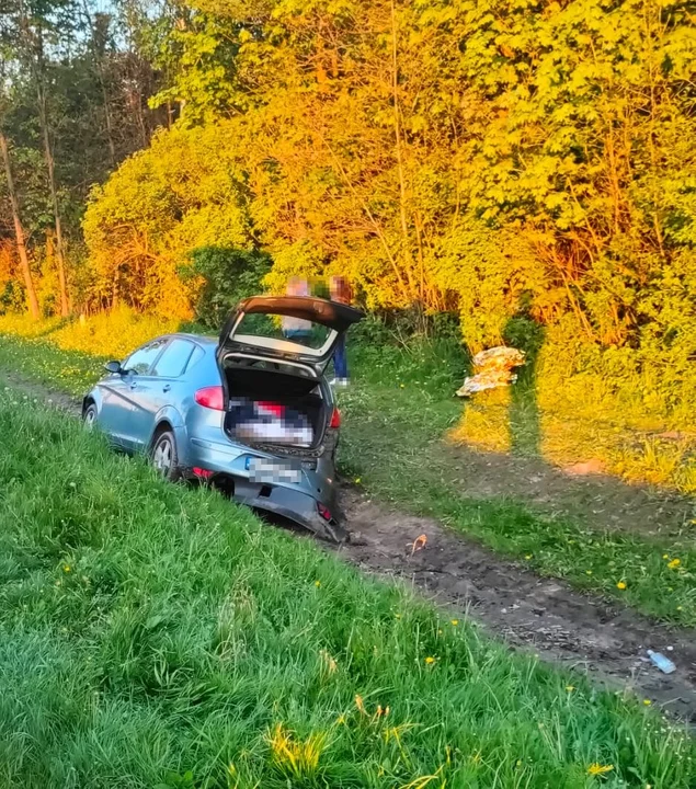 Leokadiów: Stracił panowanie nad kierownicą i wjechał do rowu - Zdjęcie główne