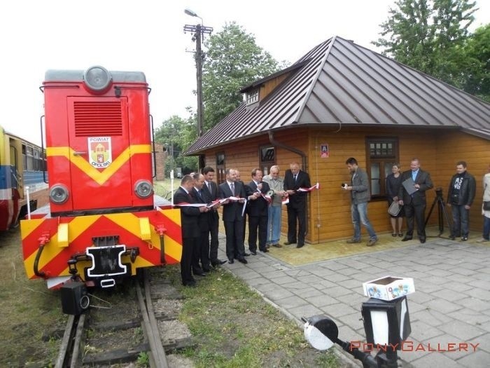 Tramwajem do Kazimierza? - Zdjęcie główne