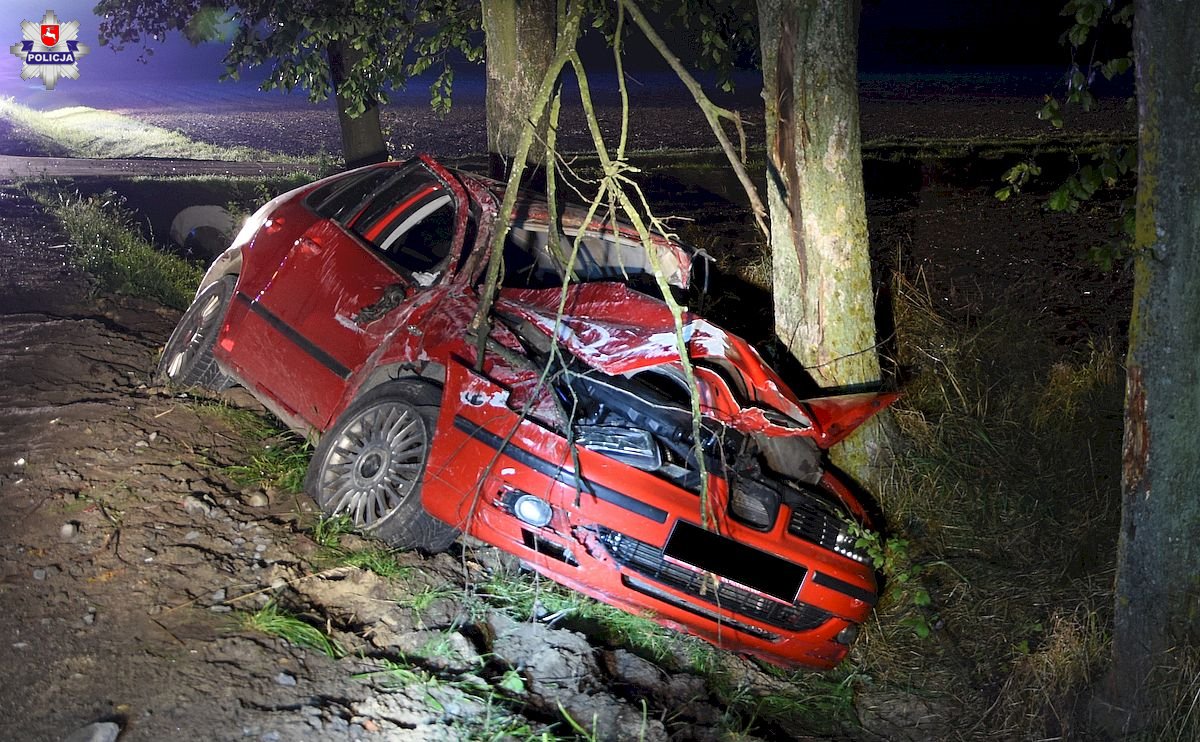 W Skokach kierowca stracił panowanie nad autem i uderzył w drzewo - Zdjęcie główne