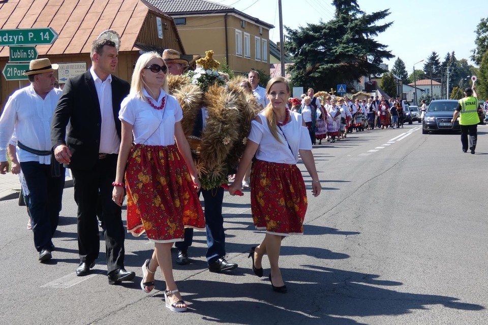 Święto Plonów w Czemiernikach - Zdjęcie główne