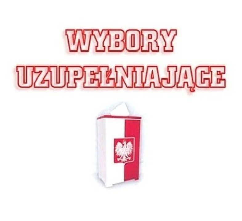 18 grudnia wybory uzupełniające w Czemiernikach - Zdjęcie główne