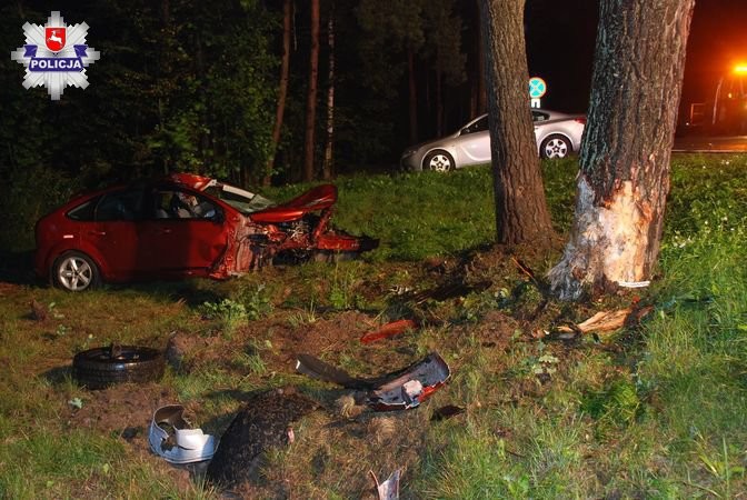 Kolejne zderzenie z łosiem w powiecie radzyńskim - Zdjęcie główne