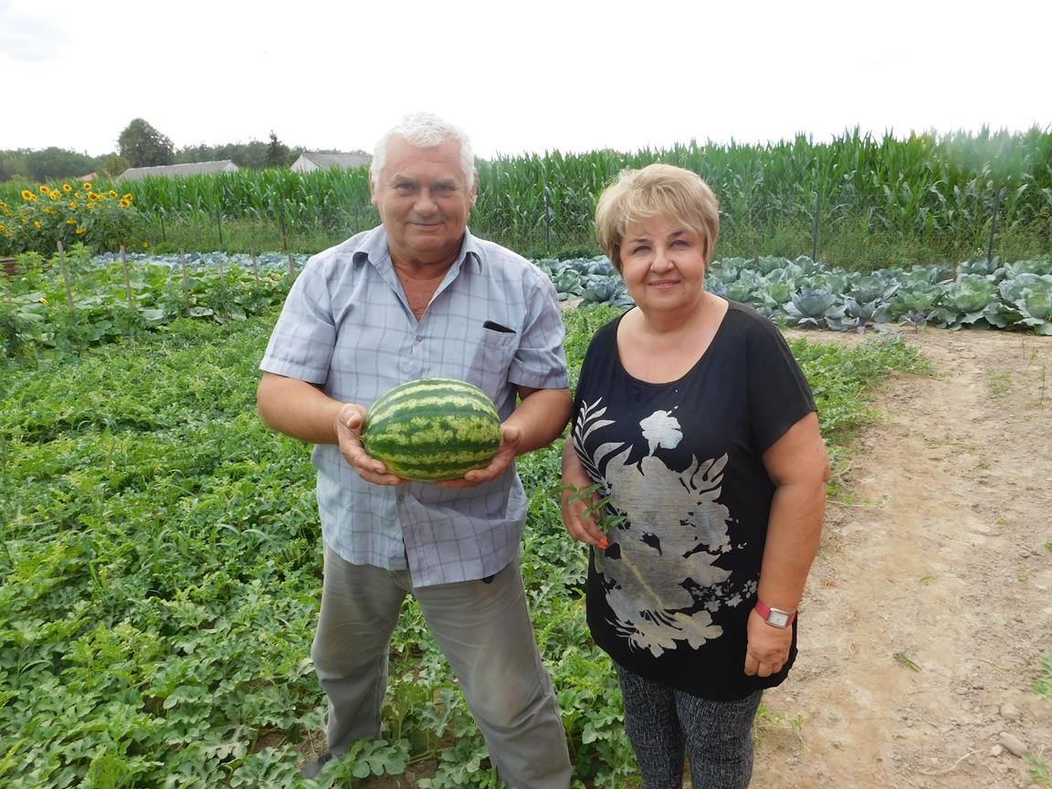 W ogrodzie Mirki i Mirka - Zdjęcie główne