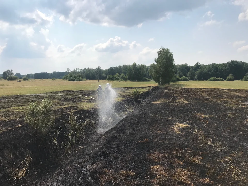 Powiat radzyński: Pożar suchych traw. Ogień gasiły trzy zastępy strażaków - Zdjęcie główne