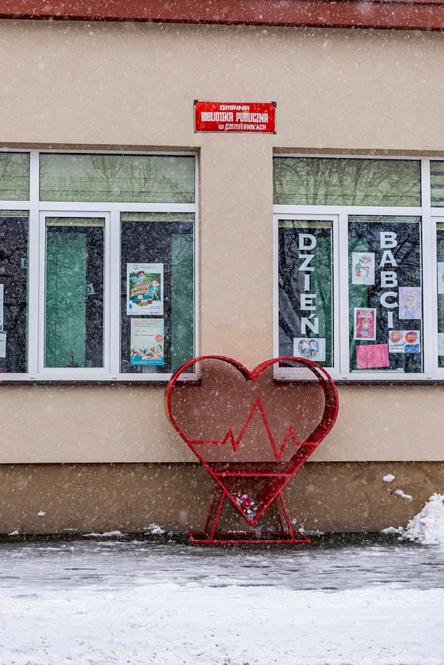 Zakręcona akcja w gminie Czemierniki  - Zdjęcie główne