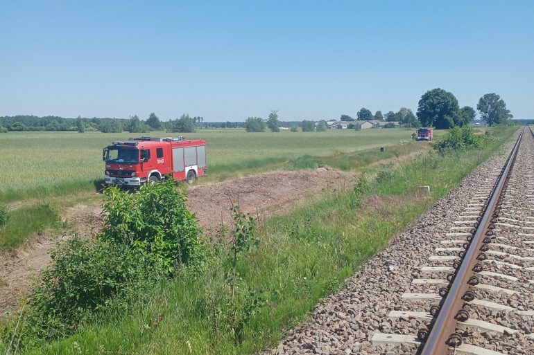 Pożar przy torach kolejowych w Zakrzewie  - Zdjęcie główne