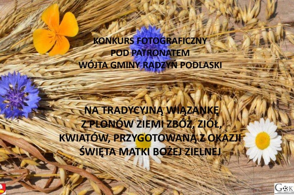 Konkurs fotograficzny w gminie Radzyń - Zdjęcie główne