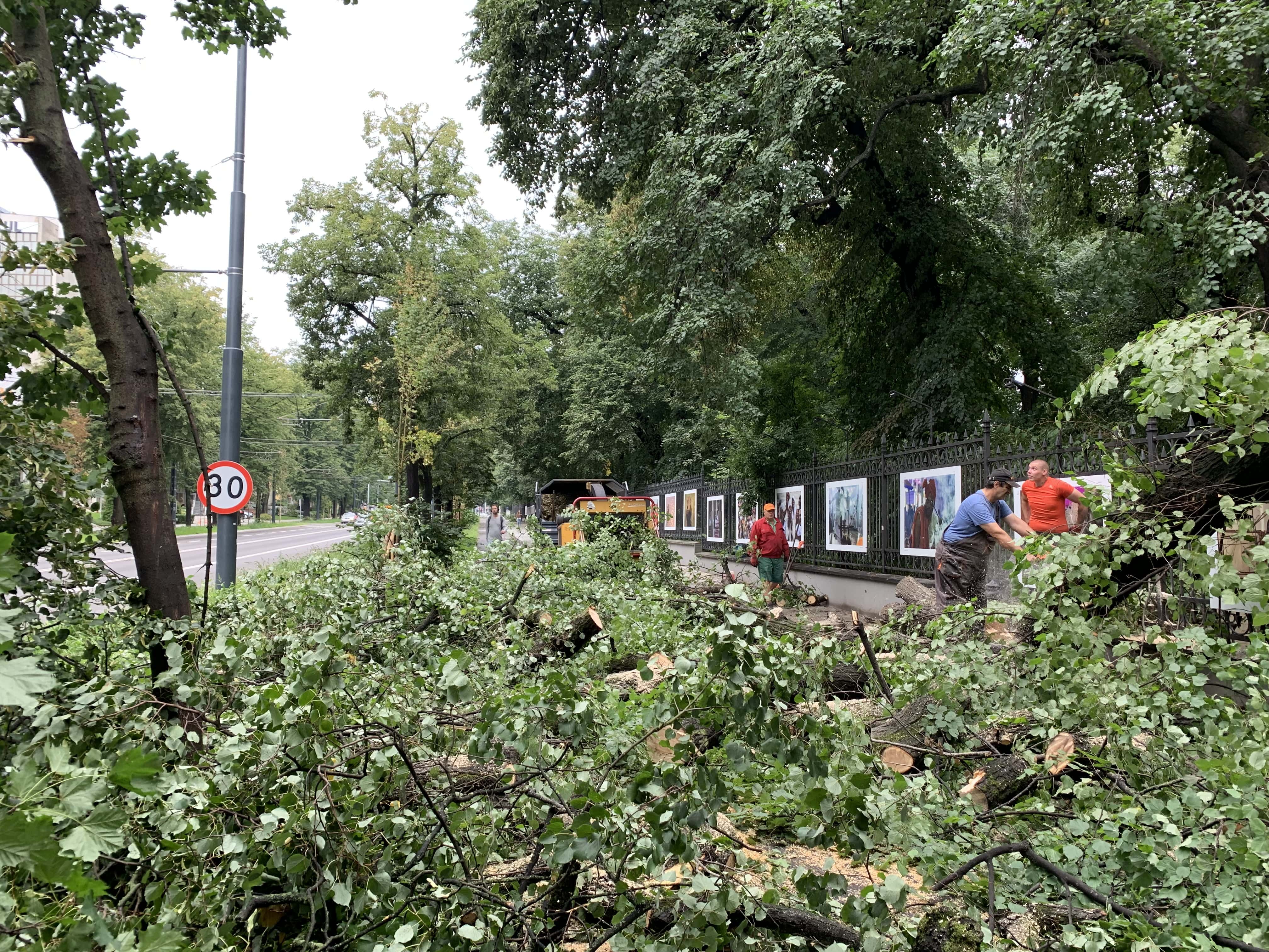 W nocy przez Lublin przeszła nawałnica