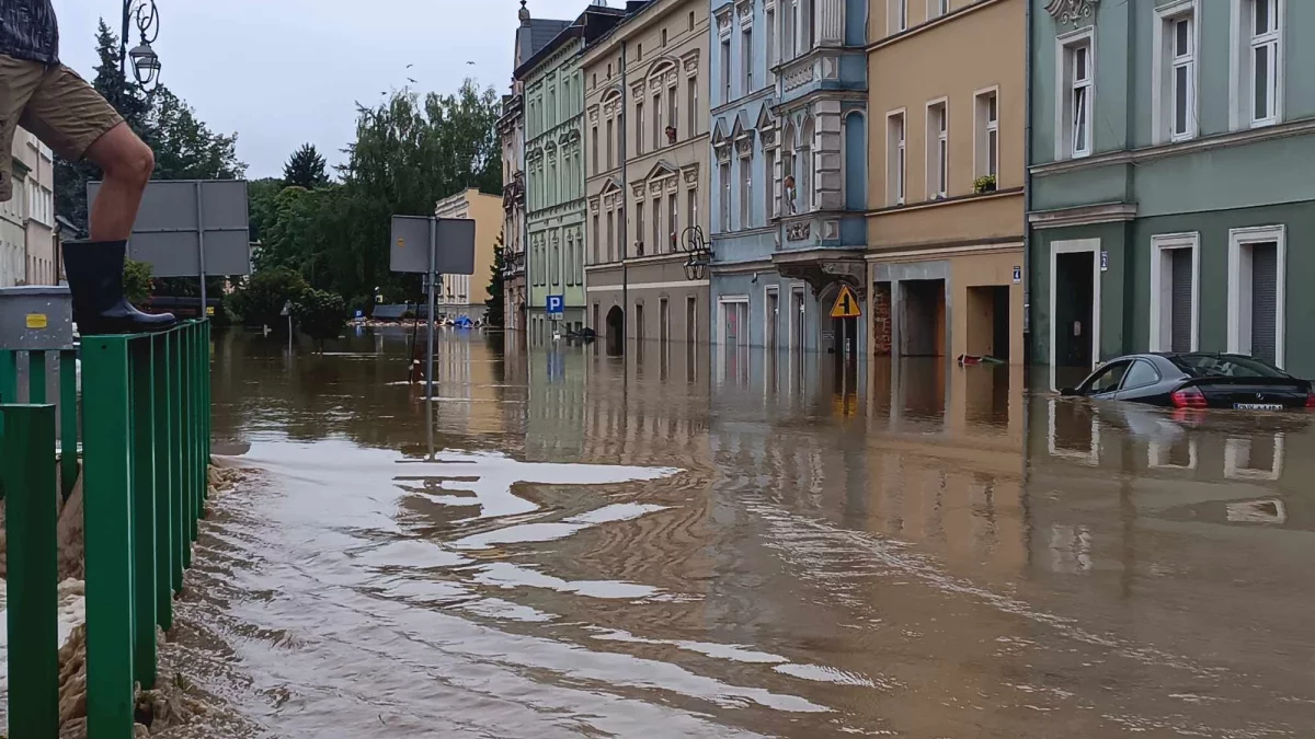 Polski Czerwony Krzyż uruchamia zbiórkę  #NaRatunekPowódź - Zdjęcie główne