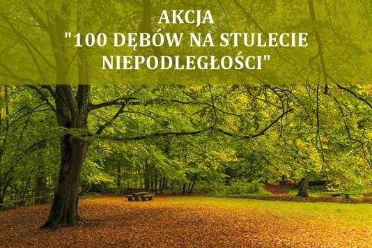 Można zasadzić dąb razem z liceum. I LO ogłasza akcję ekologiczno-patriotyczną  - Zdjęcie główne