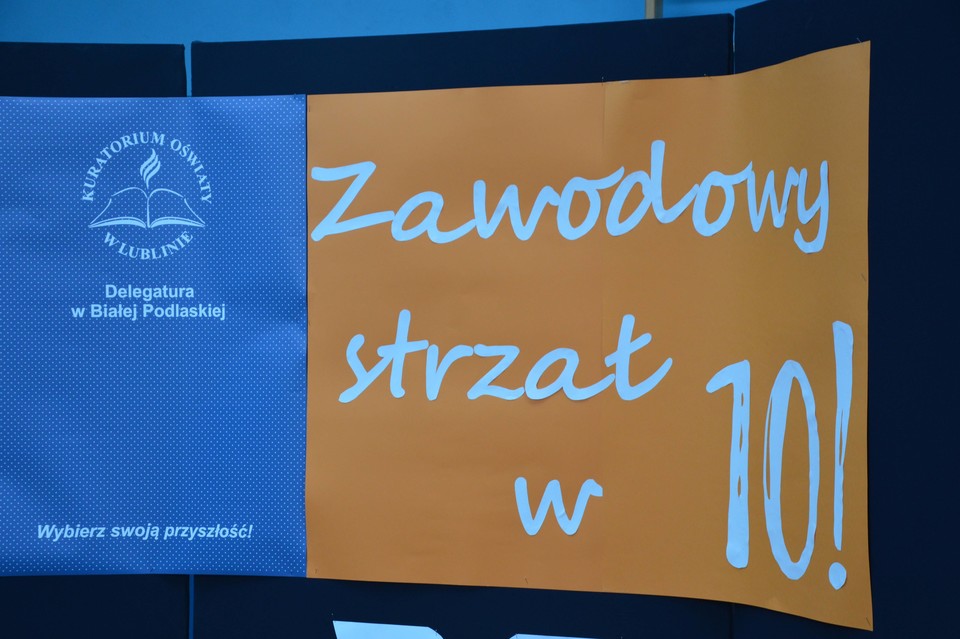 ,,Zawodowy strzał w 10" w ZSP  - Zdjęcie główne