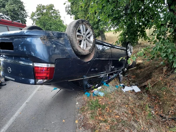 BORKI: Kierująca samochodem uderzyła w drzewo. Poszkodowane 5 - letnie dziecko - Zdjęcie główne