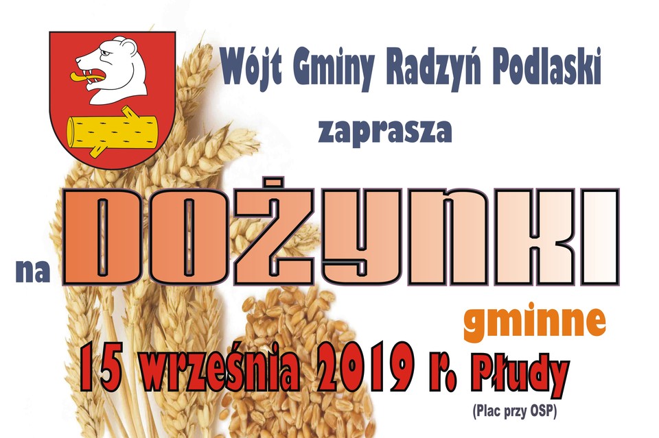 Dożynki gm. Radzyń z prezydenckim patronatem - Zdjęcie główne