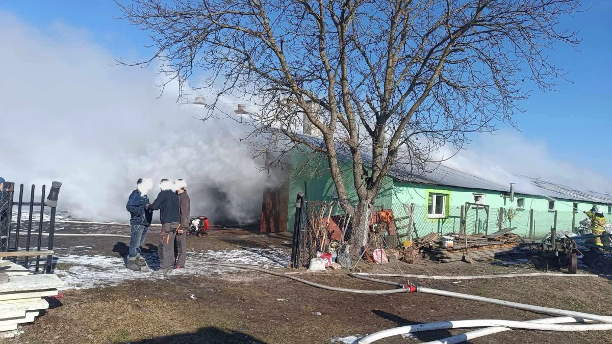 Trwa gaszenie pożaru kurnika w Żakowoli Radzyńskiej (gm. Kąkolewnica) - Zdjęcie główne