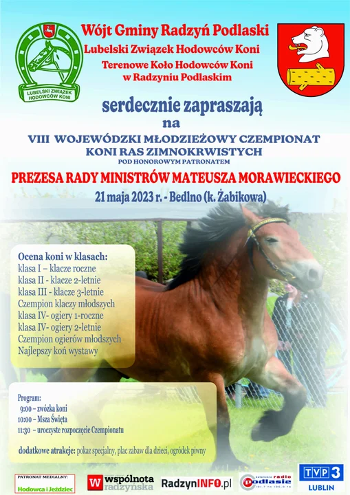 Zaproszenie na czempionat koni w Bedlnie, 21 maja - Zdjęcie główne