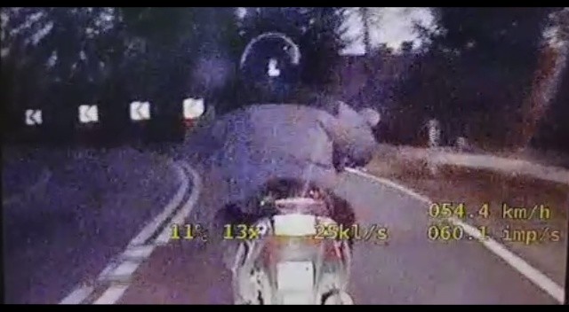 Pijany motorowerzysta w oku policyjnej kamery - Zdjęcie główne