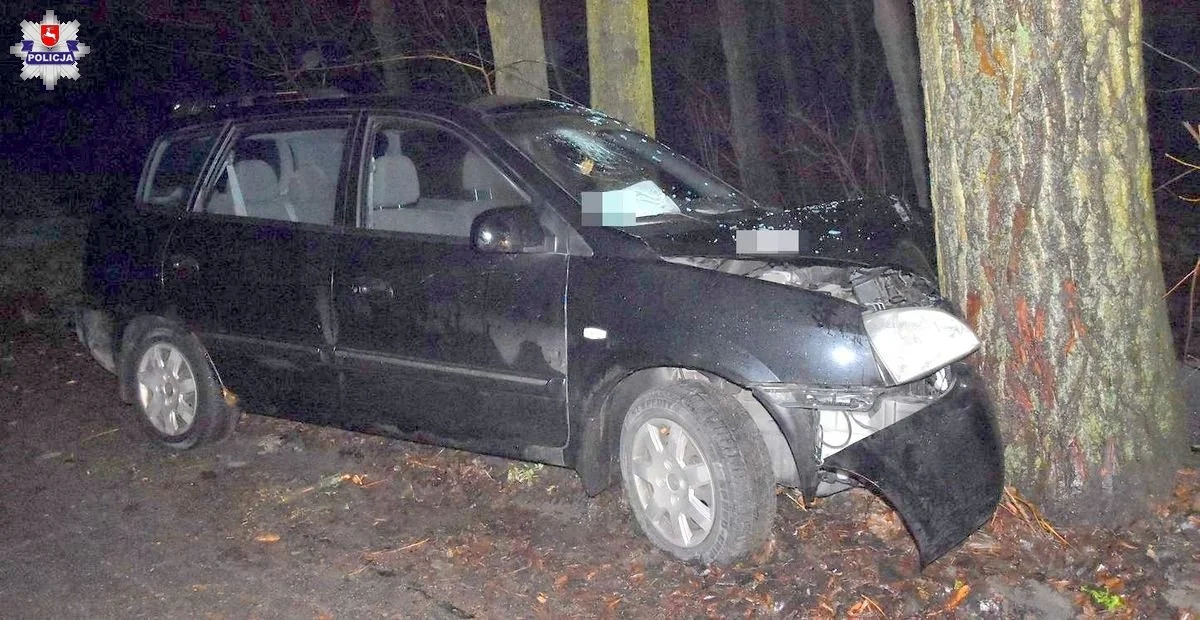 Powiat radzyński: Auto uderzyło w drzewo. Kierowca trafił do szpitala - Zdjęcie główne