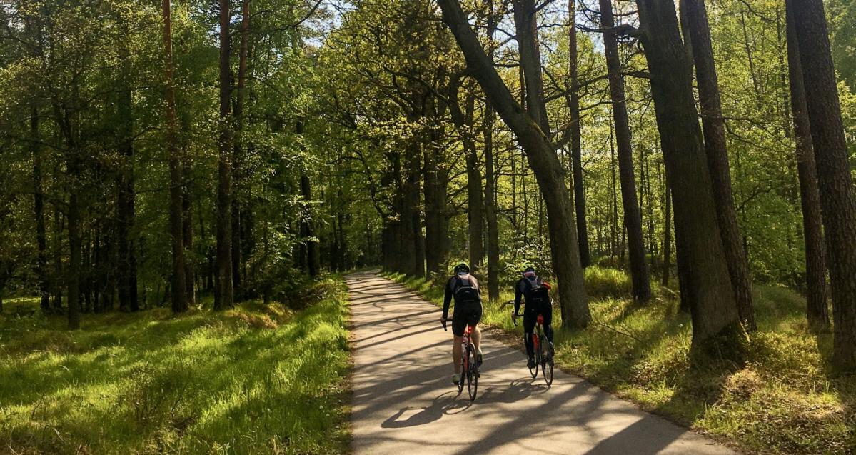 Kto wykona małą architekturę przy szlaku Greenways? - Zdjęcie główne