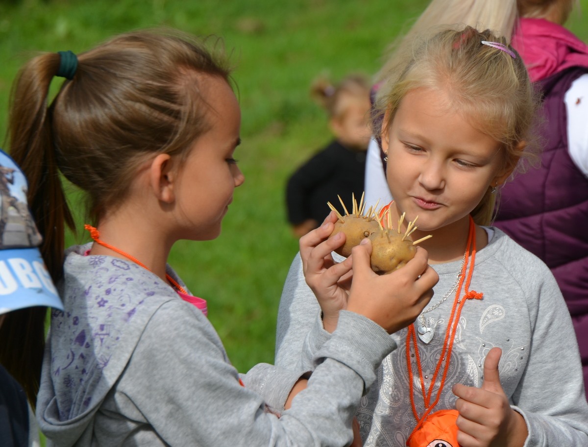 26 września zajęcia edukacyjne i Święto Pieczonego Ziemniaka - Zdjęcie główne