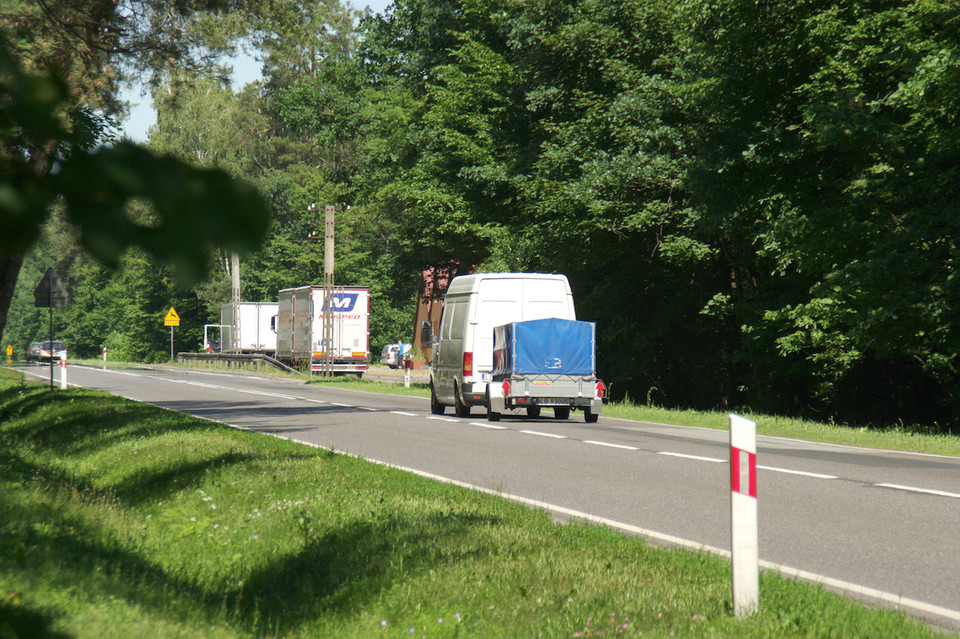 Zwłoki pod gałęziami przy parkingu z tirówkami - Zdjęcie główne