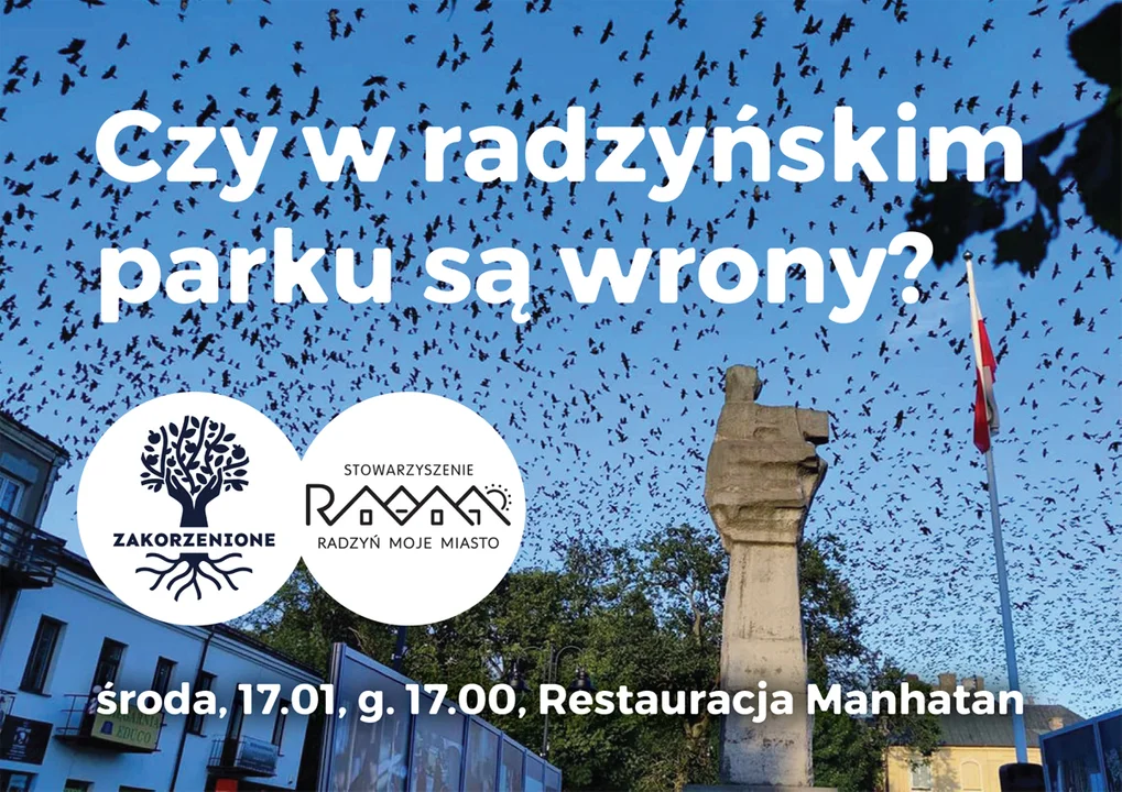 Czy w radzyńskim parku są wrony? Stowarzyszenie Radzyń Moje Miasto zaprasza do rozmowy - Zdjęcie główne