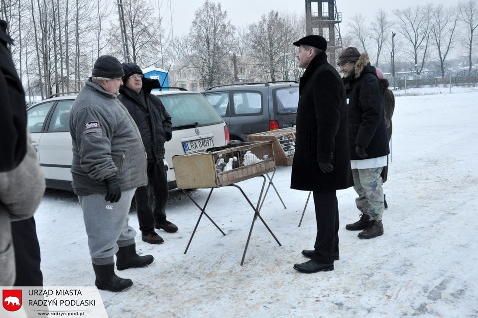 Targowisko dla zwierząt żywych zamknięte z powodu ptasiej grypy - Zdjęcie główne