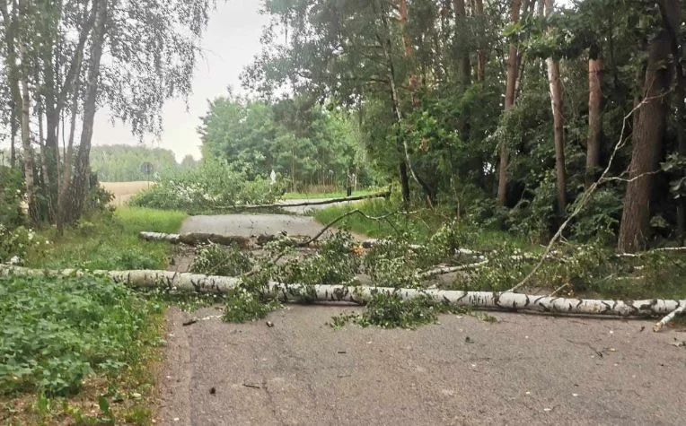 Powiat radzyński. Interwencja straży pożarnej w gminie Komarówka Podlaska - Zdjęcie główne