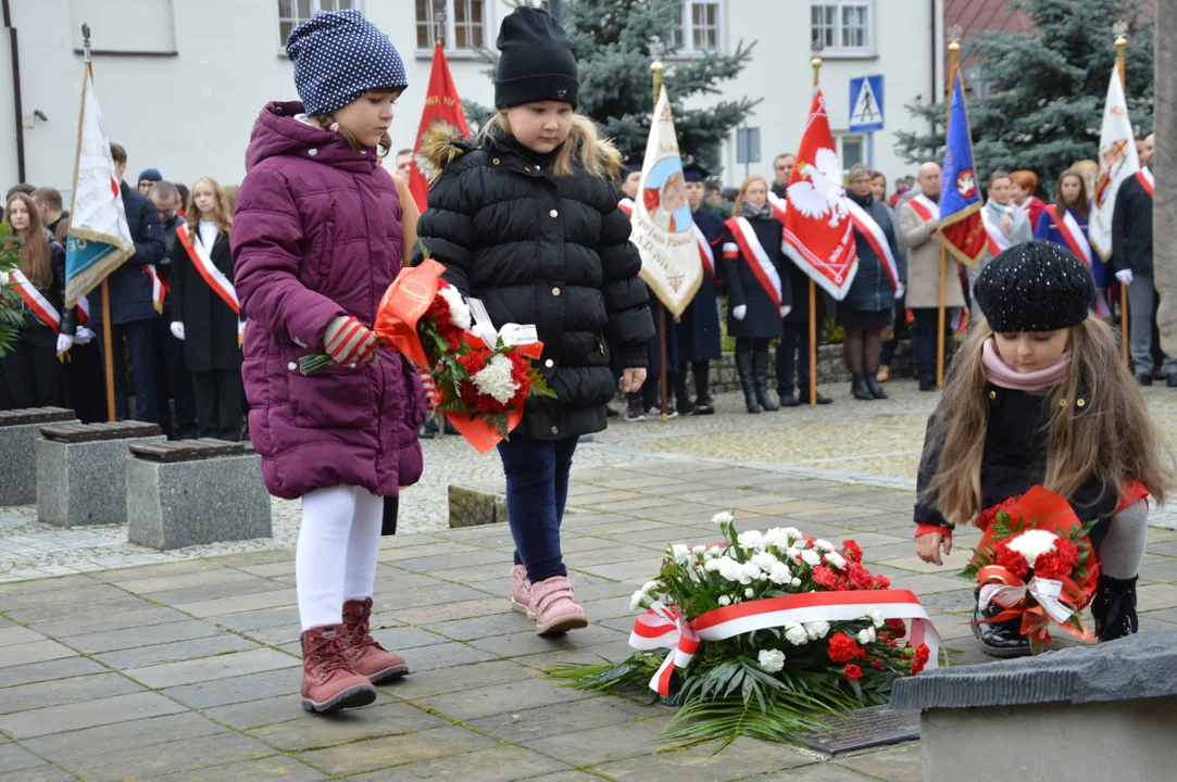 Bóg, Honor, Ojczyzna. Narodowe Święto Niepodległości. Radzyń Podlaski 2022 cz. 2 - Zdjęcie główne