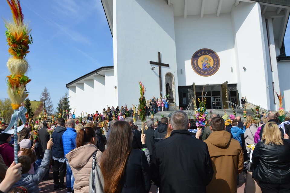 Niedziela Palmowa. Msza dla dzieci  w Sanktuarium MBNP - Zdjęcie główne