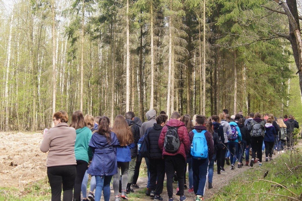 LASY PEŁNE  ENERGII 2019 - Zdjęcie główne